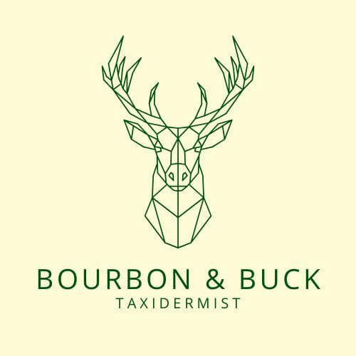Bourbon & Buck Taxidermy